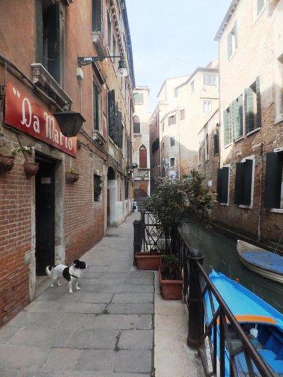 Ca Del Pozzo Otel Venedik Dış mekan fotoğraf